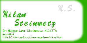 milan steinmetz business card